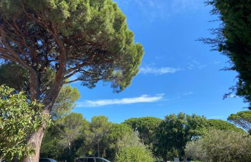 Domaine Valescure vue Piscine ou Pinede - Wifi - Foto 44