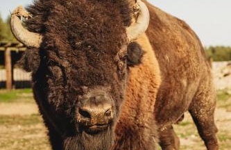 Apartament z wanną wolnostojącą - Foto 21