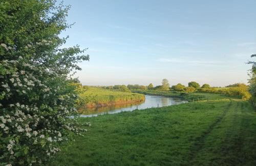 Gite du haut Brésil - Photo 20