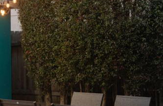 10 Min to the Beach Colorful Home Huge Yard - Foto 39