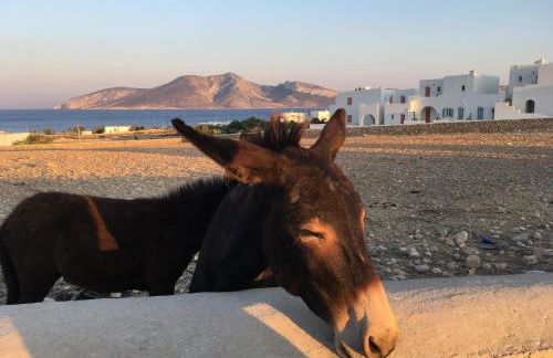 VILLA THEIA - SELENE , appartement de charme pour 4 à 6 personnes prés de la plage et du village de Koufonissi - Foto 22