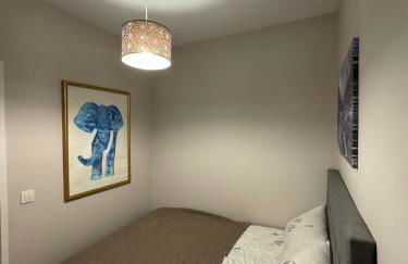 Chamonix city center rue Paccard - Photo 16