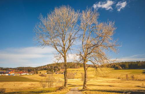 Haus Sonnenschein an der Skipiste - Foto 38