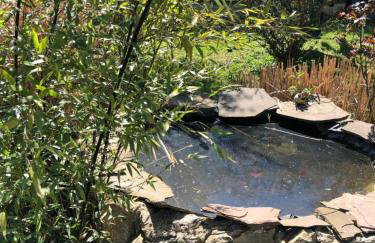 Sieben-Berge-Ferienwohnungen - Foto 53