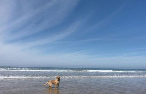 Fox Cottage - Foto 33