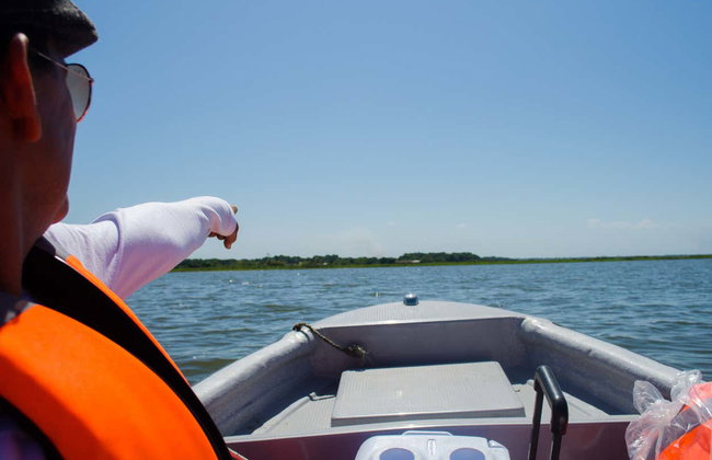 Avistamiento de aves en la Ciénaga Grande de Santa Marta - Foto 6