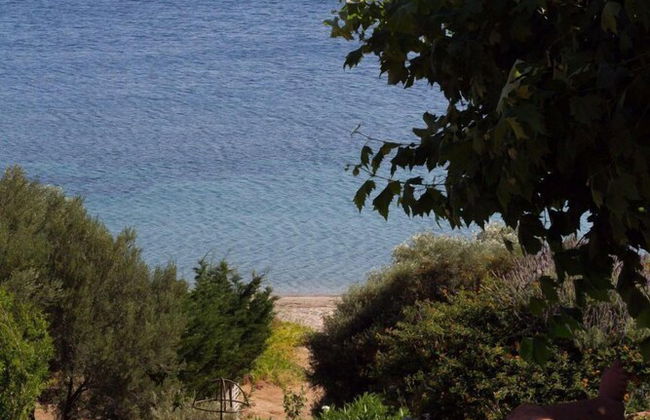 Sapphire Mansion - Photo 47