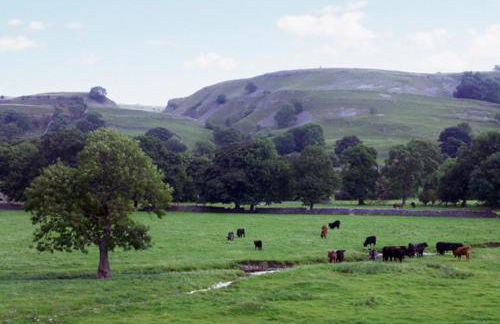 Grange Cottage - Foto 11