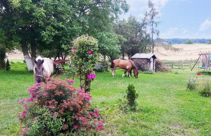 Folwark Malinowy Chruśniak - Foto 54