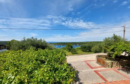 Apartments Mlacovic - Photo 60