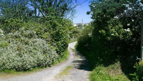 Glan Gors Felin - Foto 5