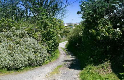 Glan Gors Felin - Foto 5