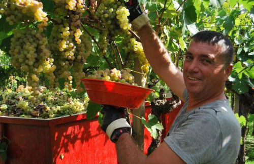 Agriturismo Torre Cristina - Foto 46