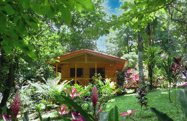 Cabinas Costa Tropicana - Foto 13