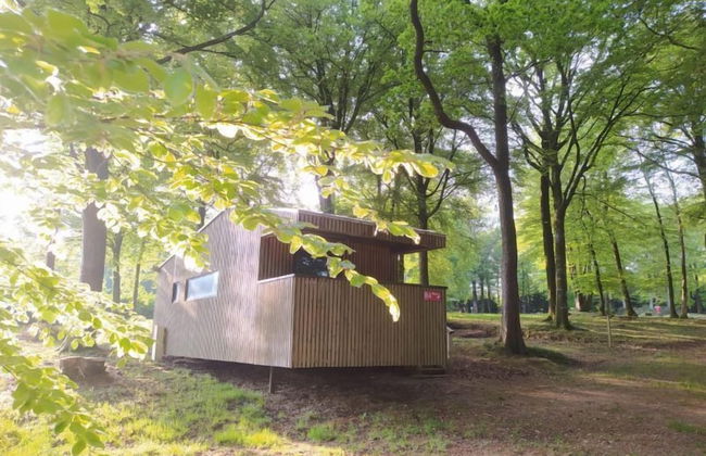 Etape en forêt - Foto 38