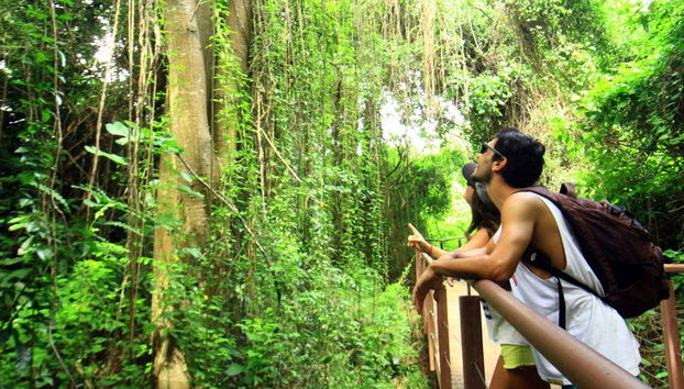 La vegetazione della zona