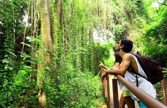 Trekking nella baia di Golfinhos - Foto 3