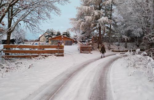 Agroturystyka Zagroda Alpaka - Foto 36