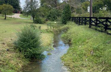 Country Cove - Foto 60