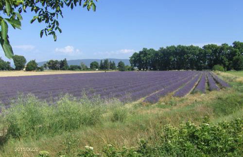 Le Mas des Restanques - Foto 56