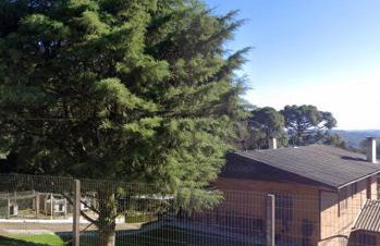 Rancho da Vovó Cleia 1 - Foto 13