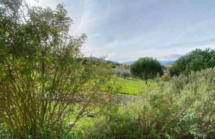 Casas do Minério - Foto 44