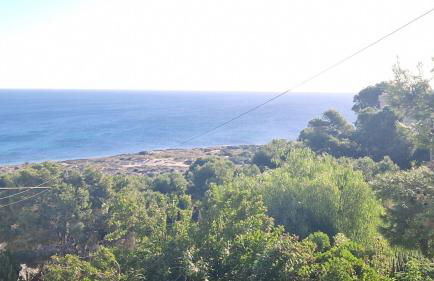 Beach Life Carabassi Beach Gran Alacant - Photo 19