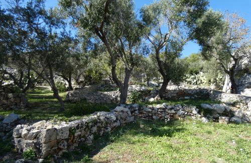 Corte del Mare - Dimora Fronte Mare nel Salento - Foto 44