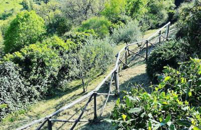 Forca de Cerro - Photo 8