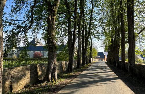 L' Extravagante im Garten von Schloss Schmidtheim - Foto 4