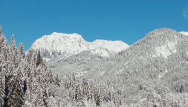 Le Chardon Bleu - Foto 2