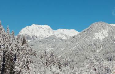 Le Chardon Bleu - Foto 2