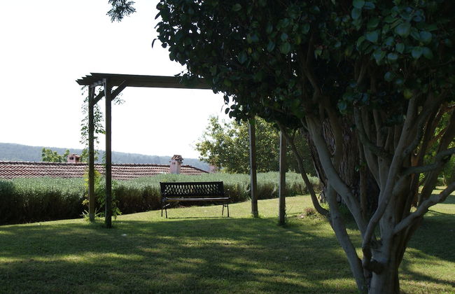 Quinta do Paço D'Anha - Foto 38