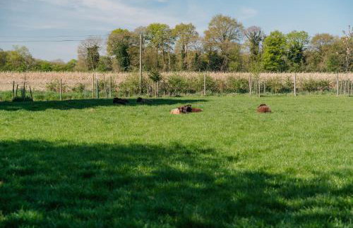 La ferme d'Alcide - Foto 26