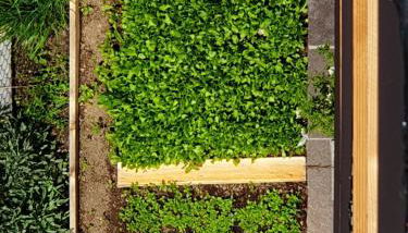 ANESI appartamenti - Foto 4