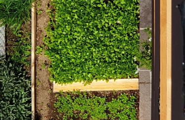 ANESI appartamenti - Foto 4