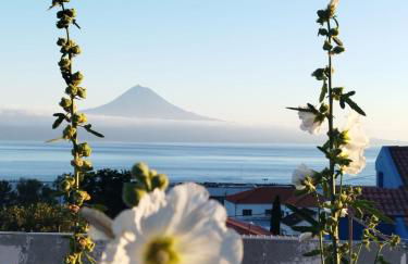 MAGMA RRAL3529 - Photo 1