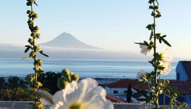 MAGMA RRAL3529 - Photo 1