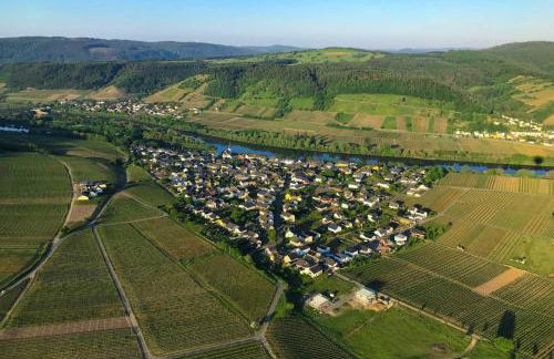 Ferienwohnungen Moselterrasse - Foto 10