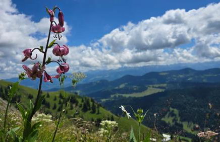 Fewo Gipfelstürmer mit Königscard - Foto 31