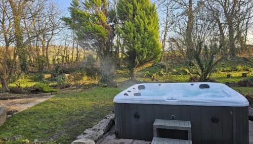 Plas Newydd with Swimming Pool, Fire Pit, and Log Fires - Foto 5