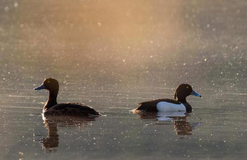 Apartamenty na Wzgórzu Boho 1- Jacuzzi, sauna, survival, free parking - Foto 39