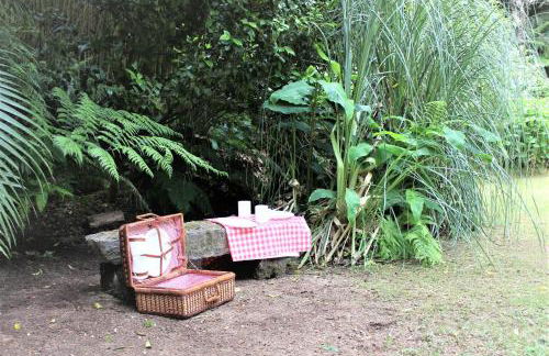 Casa da Cascata - Photo 24