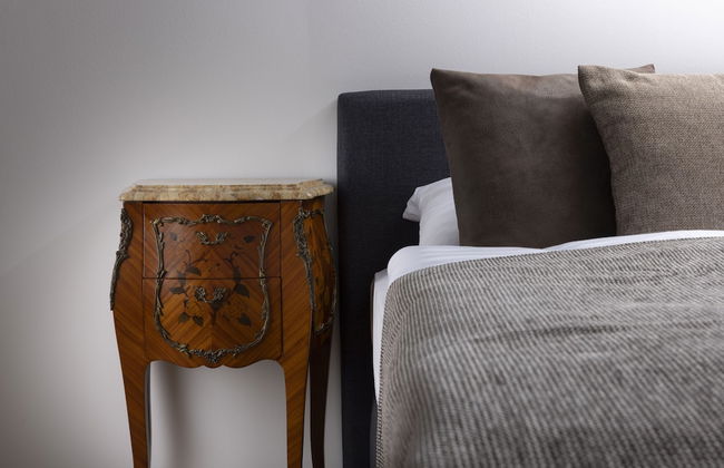 Residence Morris Mladá Boleslav - Photo 5