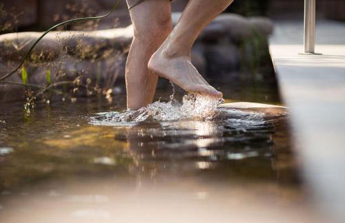 Kräutererbe Bacherhof - Photo 35