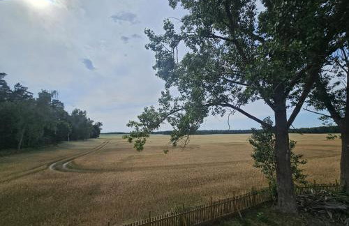 Almazówka - cichy wypoczynek lub integracja w większym gronie - Foto 23