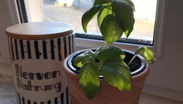 Uriges Ferienhaus in der Altstadt von Saarburg mit Sauna, Kinderspielecke, 1000Mbit Wlan, 1 Minute vom Wasserfall entfernt - Foto 2