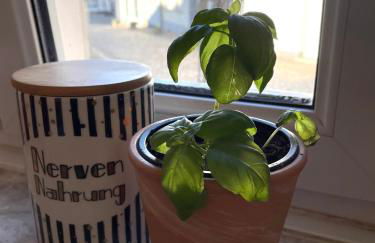 Uriges Ferienhaus in der Altstadt von Saarburg mit Sauna, Kinderspielecke, 1000Mbit Wlan, 1 Minute vom Wasserfall entfernt - Foto 2