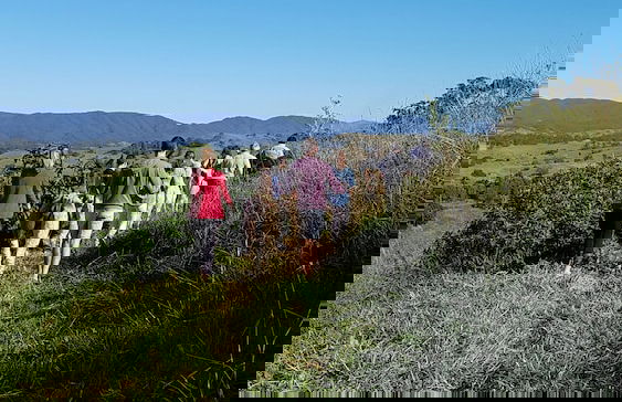 Dayboro Cottages - Photo 22