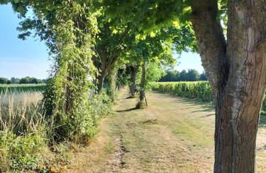 Cosy cottage with vineyard view near Goodwood Chichester - Photo 18